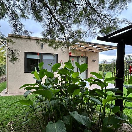 Loft Los Cerezos En Vistalba, Zona De Vinedos Y Bodegas Lujan de Cuyo Zewnętrze zdjęcie