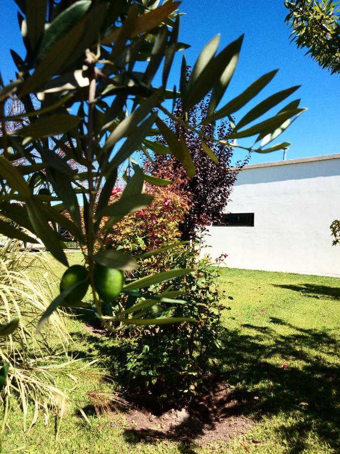 Loft Los Cerezos En Vistalba, Zona De Vinedos Y Bodegas Lujan de Cuyo Zewnętrze zdjęcie